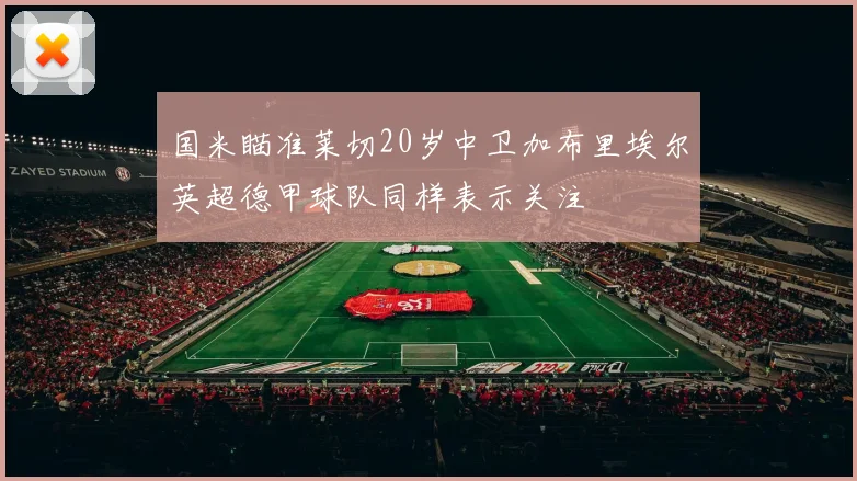 国米瞄准莱切20岁中卫加布里埃尔英超德甲球队同样表示关注