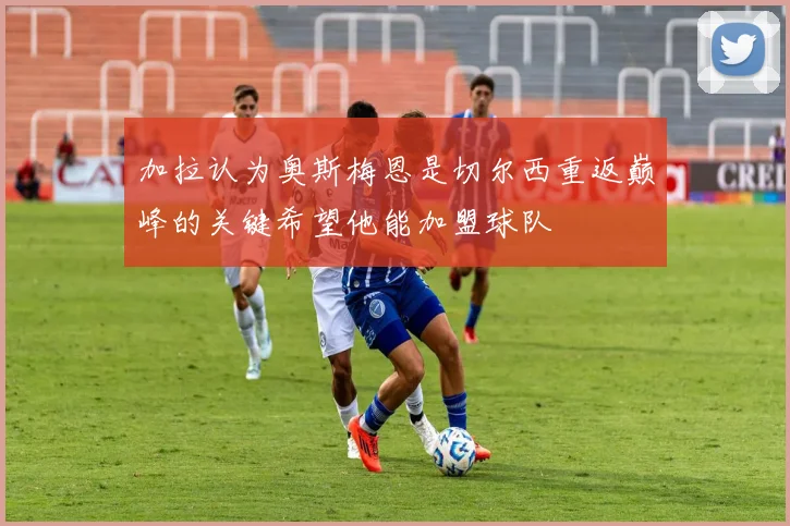 加拉认为奥斯梅恩是切尔西重返巅峰的关键希望他能加盟球队