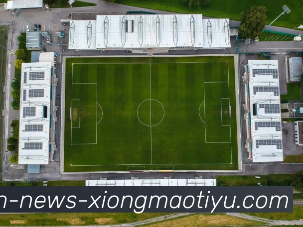 熊猫体育发展历程